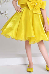 Yellow Floral Embellished Party Wear Frock For Girls