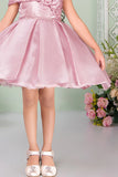 Baby Pink Embellished Party Frock With 3D Flower For Girls