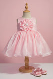 Baby Pink Organza Party Wear Dress with 3D Flower Appliqué For Girls