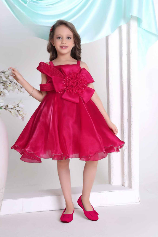 Rani Pink Floral Embellished Party Wear Frock For Girls