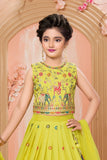 Yellow Multi-Color Embroidered Lehenga Choli Set for Girls