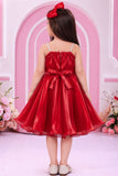 Red 3D Floral Applique Party Wear Frock for Girls