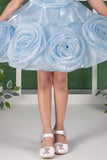 Blooming Princess Ice Blue Rosette Embellished Party Frock For Girls