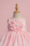 Baby Pink Organza Party Wear Dress with 3D Flower Appliqué For Girls
