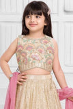 Beige and Pastel Pink Sequin Embroidered Lehenga Choli Set For Girls