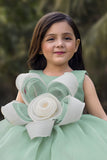 Girls Mint Green Floral Applique Party Dress