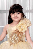 Golden Shimmer Party Frock with Sequin Bow and 3D Flower Detail For Girls