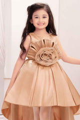 Gold Embellished With Floral Tail Back Frock For Girls