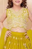 Yellow Embroidered Lehenga Choli Set With Dupatta for Girls