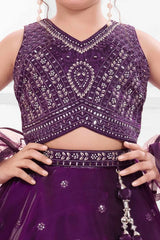 Deep Purple Embroidered Lehenga Choli Set for Girls