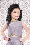 Lilac Embroidered Lehenga Choli For Girls