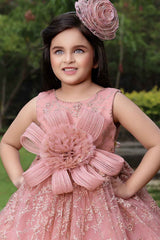 Peach Gown With Floral Embellished And Shimmer For Girls