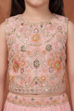 Girls Baby Pink Embroidered Lehenga Choli Set with Dupatta