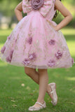 Blush Pink Glitter Party Frock with 3D Floral Bow For Girls