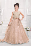 Fawn Embroidered Lehenga Choli Set with Dupatta For Girls
