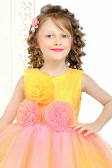 Lemon Netted Embellished With Flowers Partywear Frock For Girls