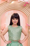 Mint Green Embroidered Lehenga Choli Set for Girls