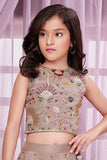 Onion Pink Lehenga Choli With Sequin And Embroidered For Girls