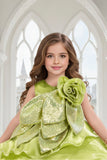 Light Green Embellished Glitter Bow Party Dress for Girls
