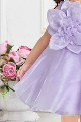 Lavender Organza Frock With Floral Embellished For Girls