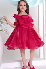 Rani Pink Floral Embellished Party Wear Frock For Girls