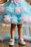 Girls Pastel Blue And Pink High-Low Tulle Party Dress with Floral Applique