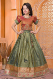 Girls Olive Green and Rust Orange Pattu Pavadai Set