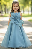 Blue Party Wear Gown with Oversized Floral Appliqué and Glitter Accent For Girls