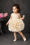 Champagne Gold One-Shoulder Ruffle Party Wear Frock