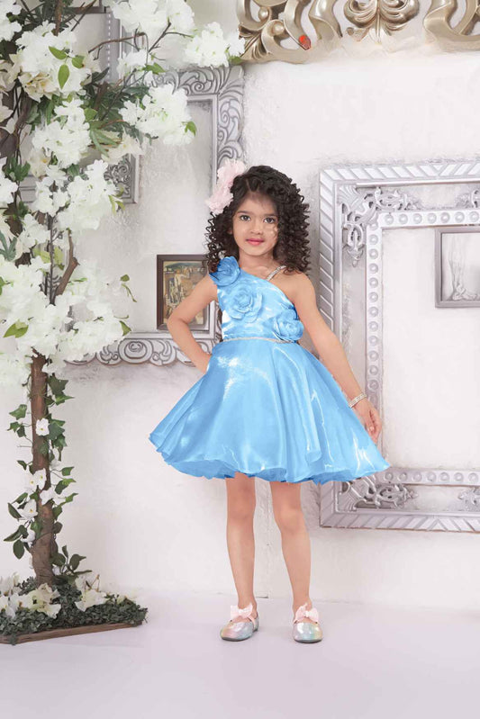 Sky Blue Frock With Floral Embellished For Girls