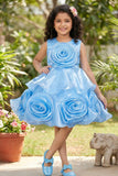 Sky Blue Embellished Party Wear Frock with 3D Rose Appliqué For Girls