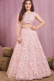 Blush Pink Floral Embroidered Lehenga Choli Set For Girls