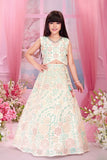 Pastel Mint And Peach Floral Embroidered Lehenga Choli Set For Girls