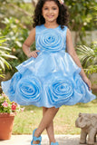 Sky Blue Embellished Party Wear Frock with 3D Rose Appliqué For Girls