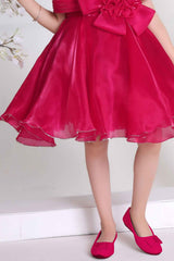 Rani Pink Floral Embellished Party Wear Frock For Girls