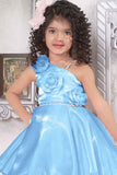 Sky Blue Frock With Floral Embellished For Girls