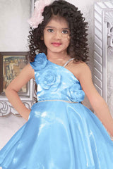 Sky Blue Frock With Floral Embellished For Girls