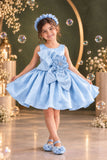 Powder Blue Floral Party Wear Frock For Baby Girls