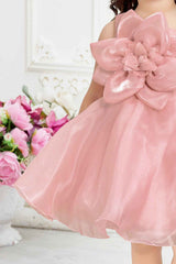 Peach Organza Frock With Floral Embellished For Girls