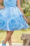 Sky Blue Embellished Party Wear Frock with 3D Rose Appliqué For Girls