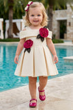 Girls Fawn Party Wear Dress with 3D Rose Applique