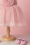 Peach Party Frock with Pleated Flower Appliqué and Shimmer Finish For Girls
