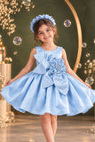 Powder Blue Floral Party Wear Frock For Baby Girls