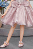 Onion Pink Sequin Embellished Frock For Girls