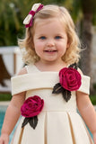 Girls Fawn Party Wear Dress with 3D Rose Applique