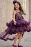 Plum Purple High-Low Party Wear Tulle Frock With Floral Embellishment For Girls