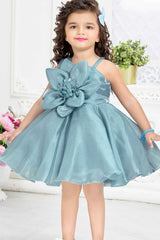 Blue Organza Frock With Floral Embellished For Girls