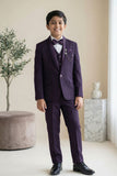 Wine Embroidered 5-Piece Suit Set With Brooch For Boys