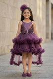 Plum Purple High-Low Party Wear Tulle Frock With Floral Embellishment For Girls
