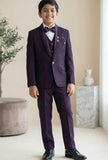Wine Embroidered 5-Piece Suit Set With Brooch For Boys